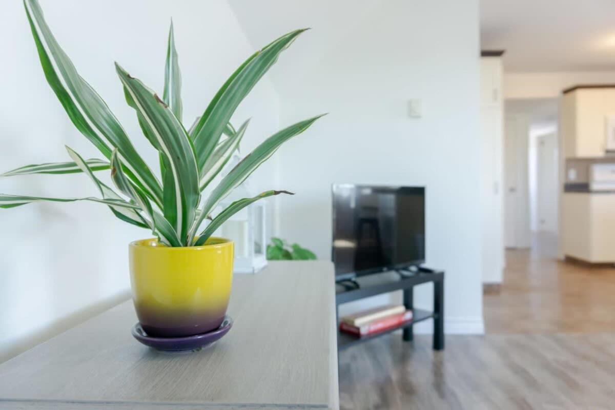Amazing Location In Saint John 2 Bedroom Modern Parking New Buitenkant foto