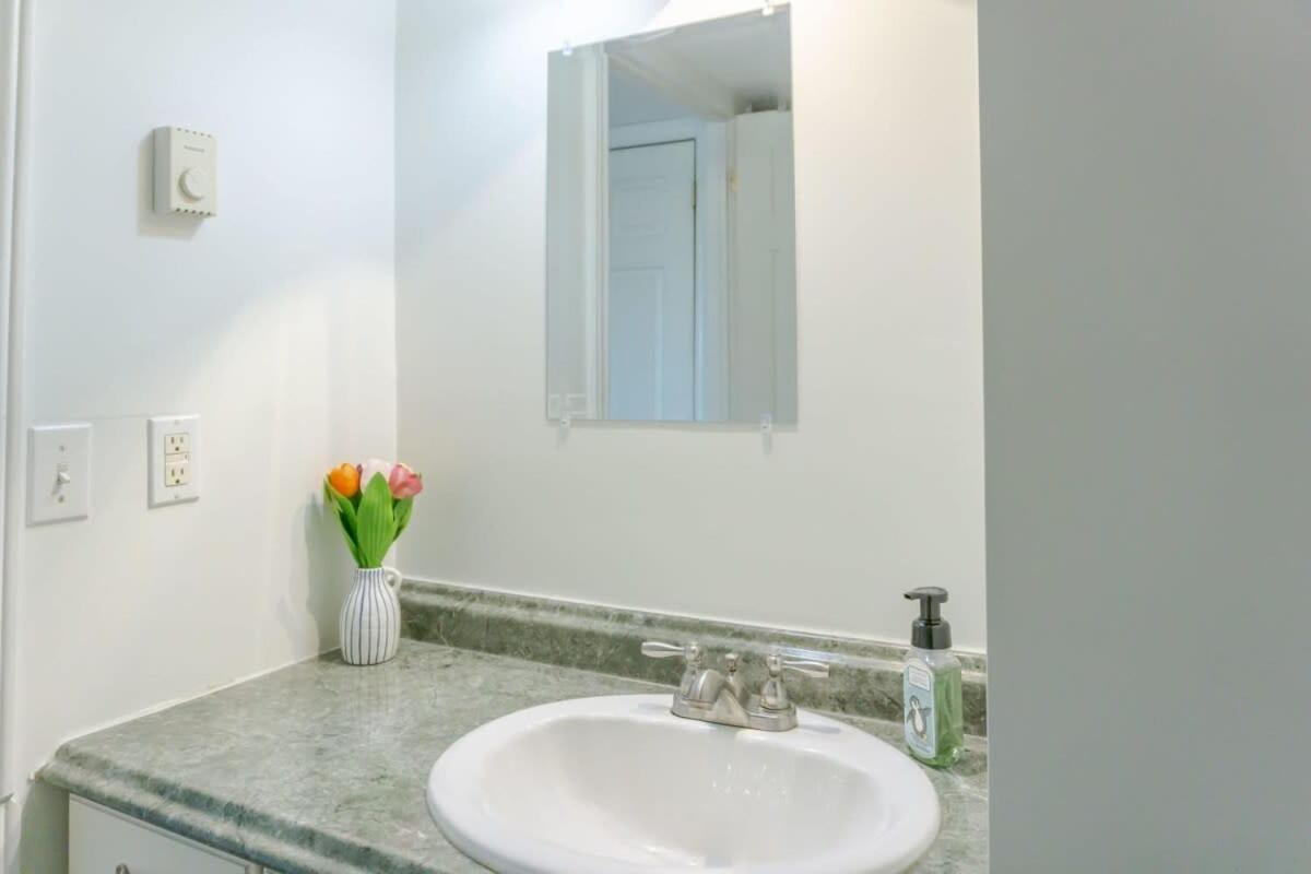 Amazing Location In Saint John 2 Bedroom Modern Parking New Buitenkant foto